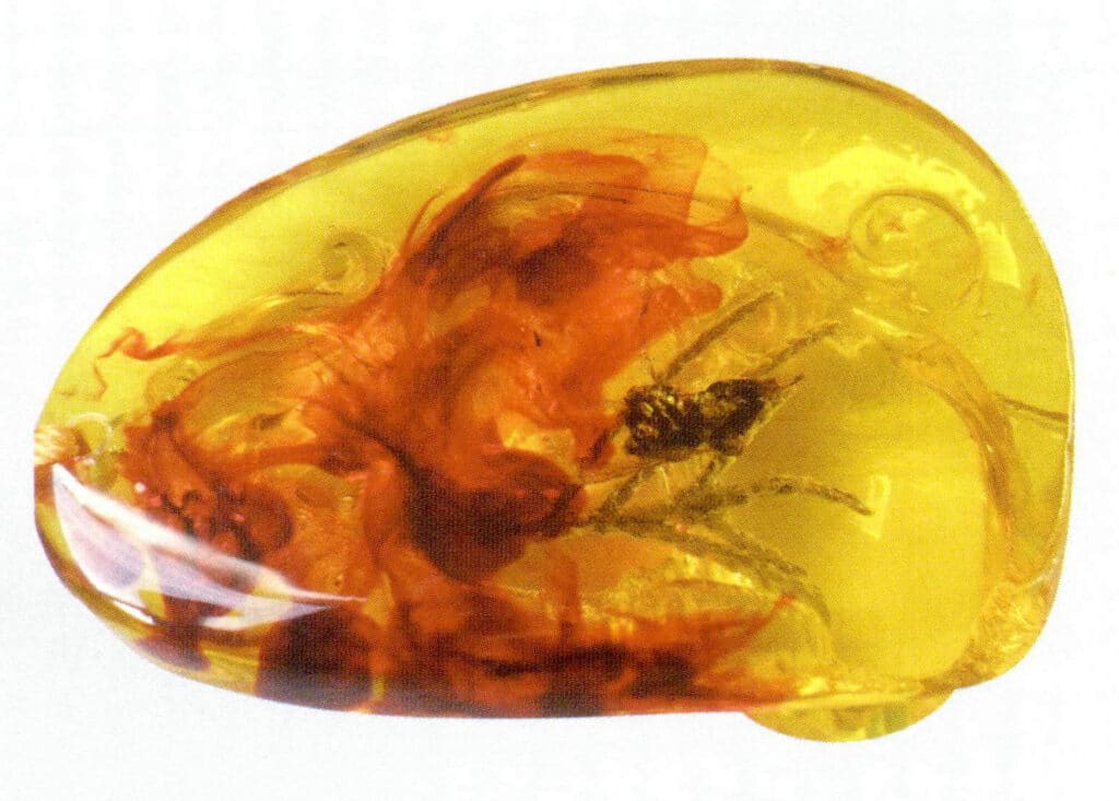Figure 5-6-7 Plastic Products Imitating Worm amber (III) 