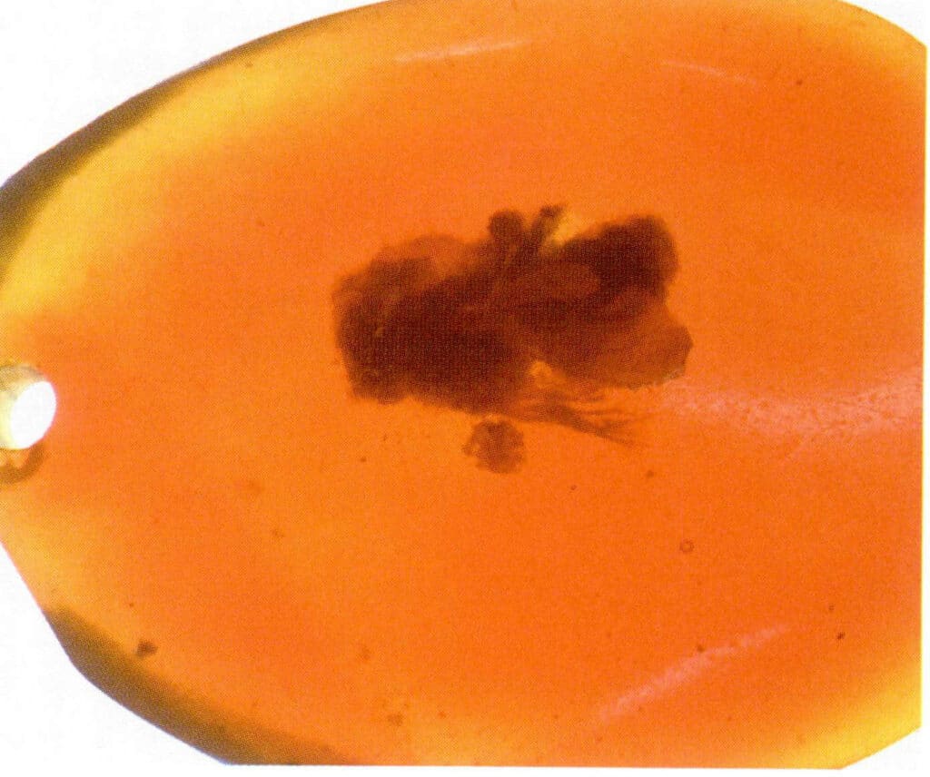 Figure 5-6-8 Plastic Products Imitating Worm amber (IV)