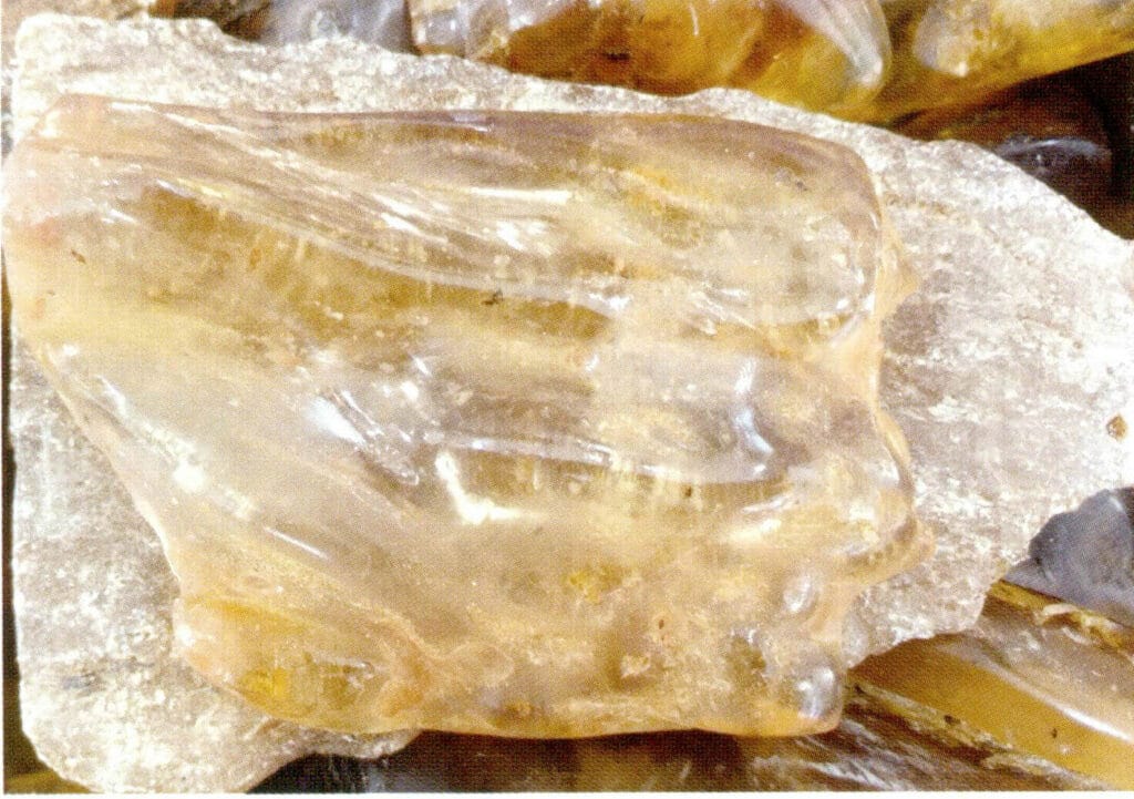 Figure 5-6-16 Copal resin (V) 