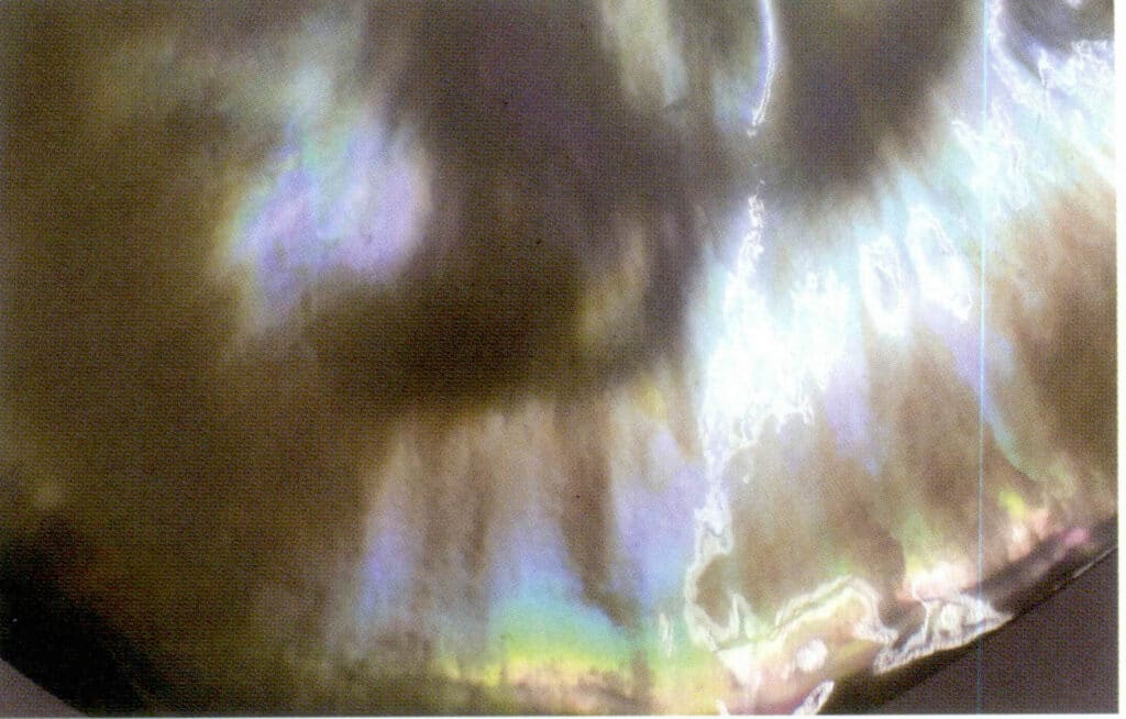 Figure 6-3-1 The Luster of Shells ( Pteria Penguin)