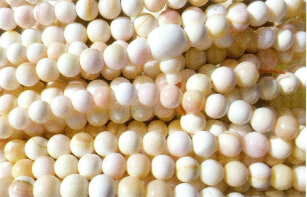 Figure 6-3-8 Shell Beads