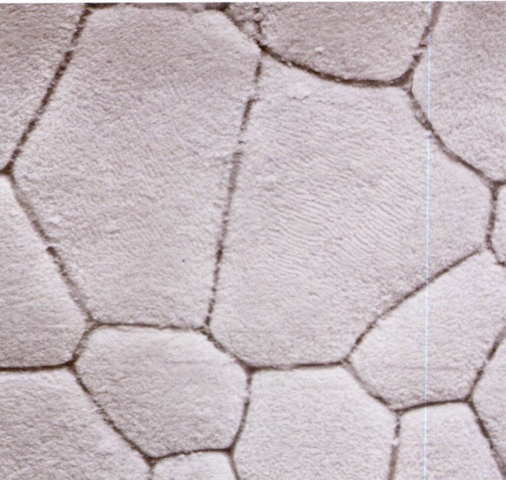 Figure 6-4-3 Scanning Electron Microscope (SEM) image of the medial edge calcite area of the Pinctada martensi