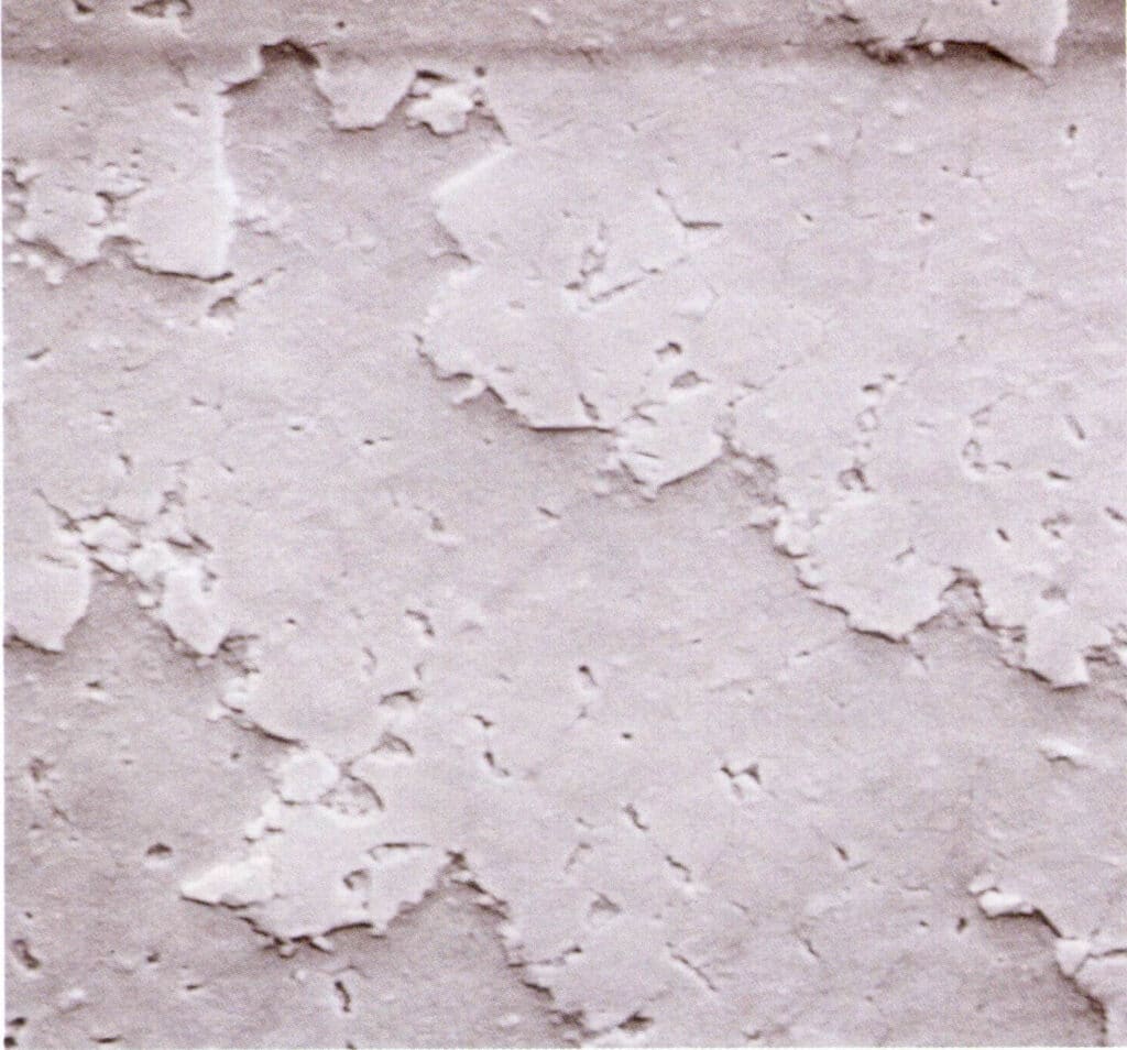 Figure 6-4-4 Scanning Electron Microscope (SEM) image of the medial nacreous layer aragonite area of the Pinctada martensi