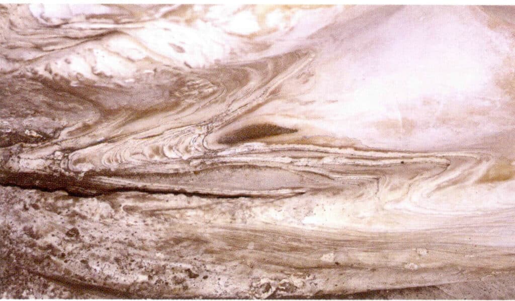 Figure 6-4-25 Layered growth structure and wormholes of Tridacna Shell