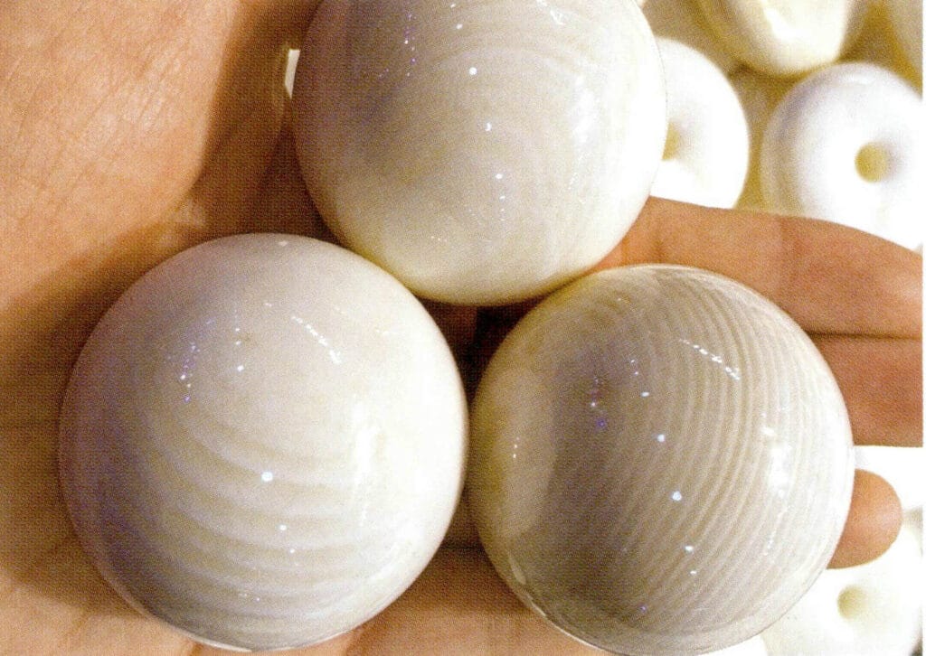 Figure 6-4-30 Tridacna Shell bead (II)