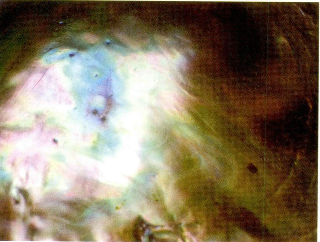 Figure 6-4-33 Strong iridescence of the abalone shell (I)