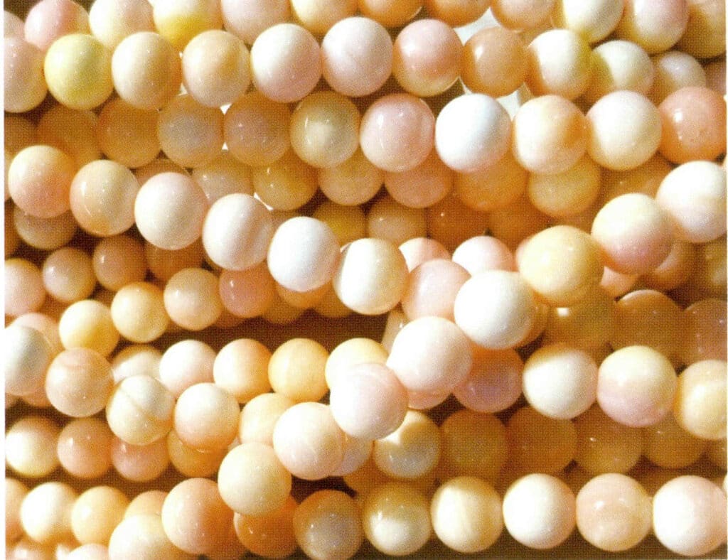 Figure 6-4-38 Queen Conch Shell Beads