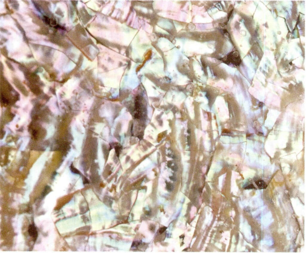 Figure 6-5-3 Assembled Abalone Shell 1