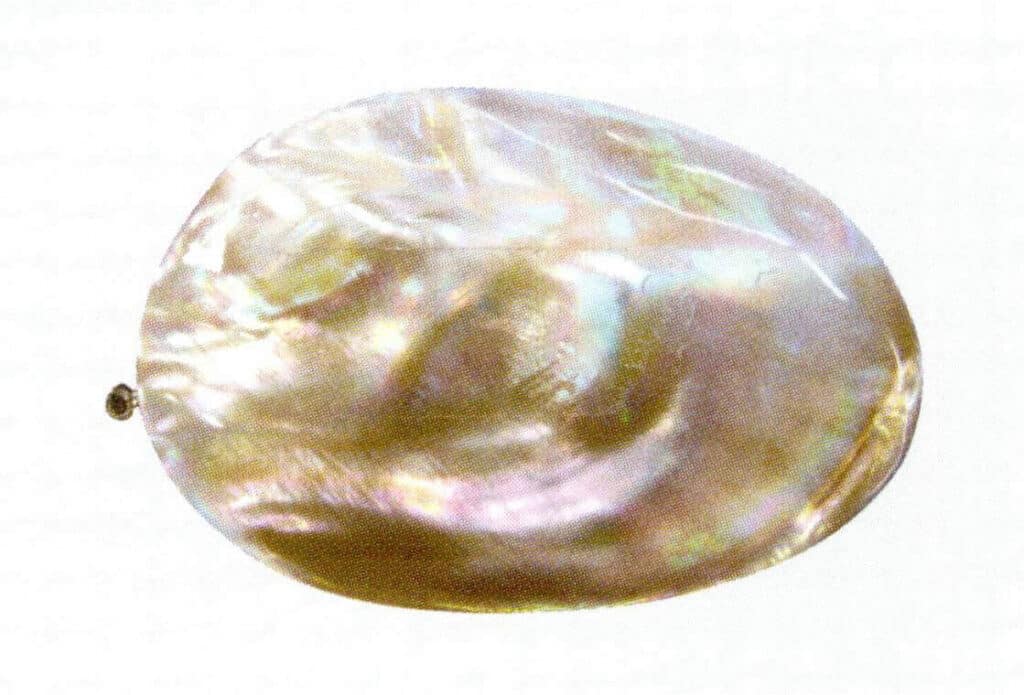 Figure 6-5-5 Assembled Marine Mother-of-Pearl Shell