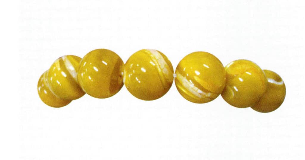 Figure 6-5-7 Golden Silk Tridacna (1)
