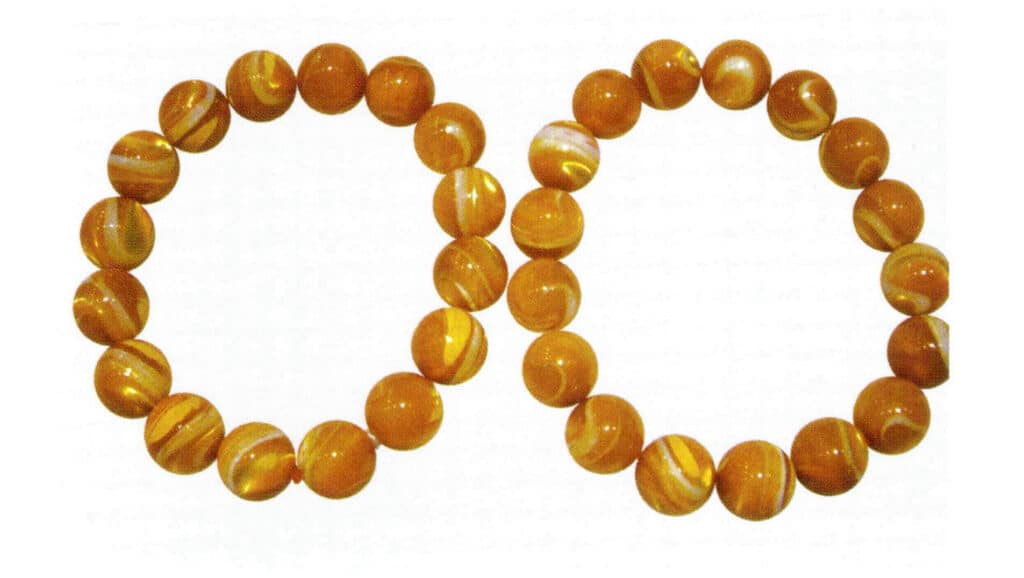 Figure 6-5-8 Golden Silk Tridacna (2)