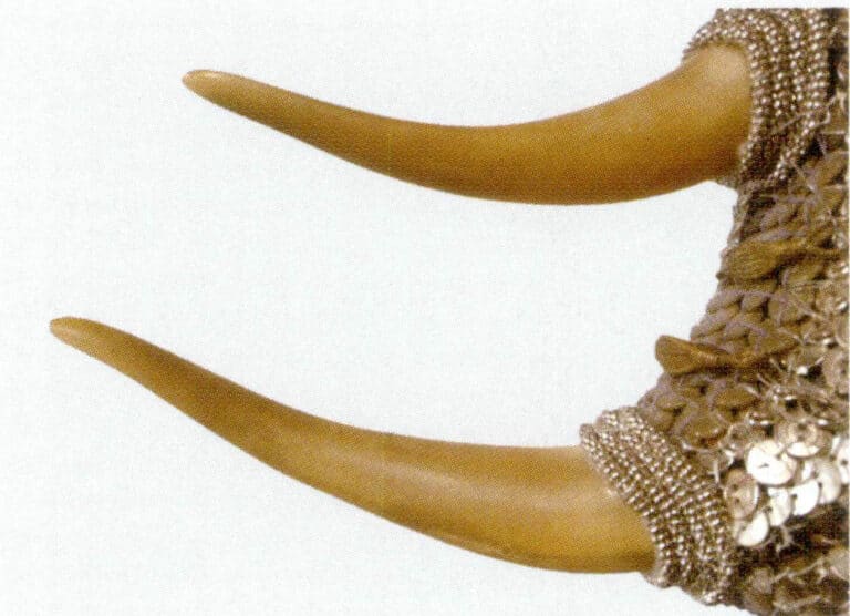 Figure 7-2-8 Rhinoceros horn (3)