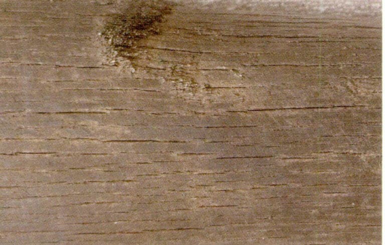 Figure 7-2-10 Rhinoceros horn middle section