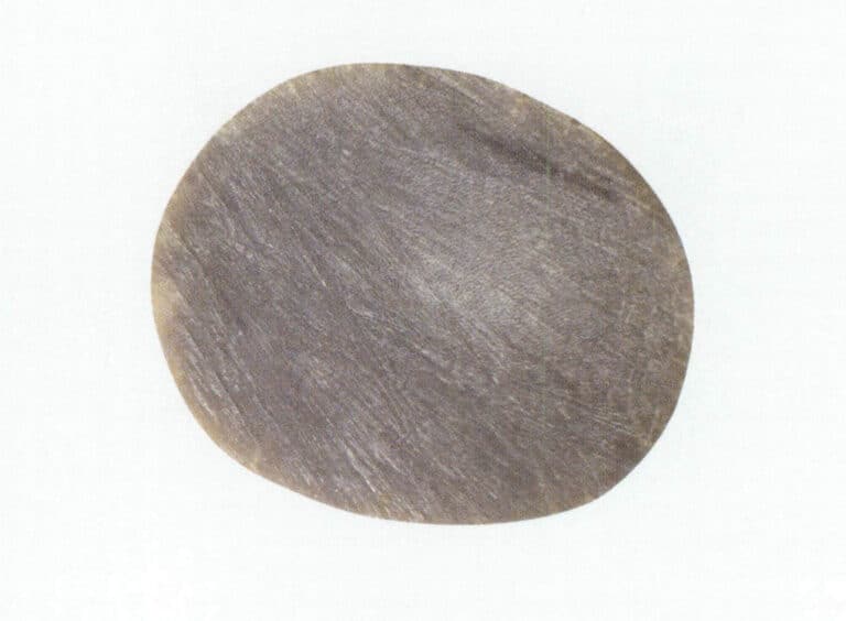 Figure 7-2-20 Cross-section of rhino horn