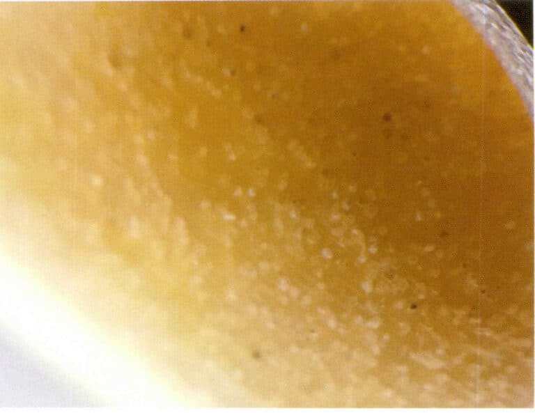 Figure 7-2-29 The surface of the rhino horn bracelet shows "Fish Egg" (20×) (One) 