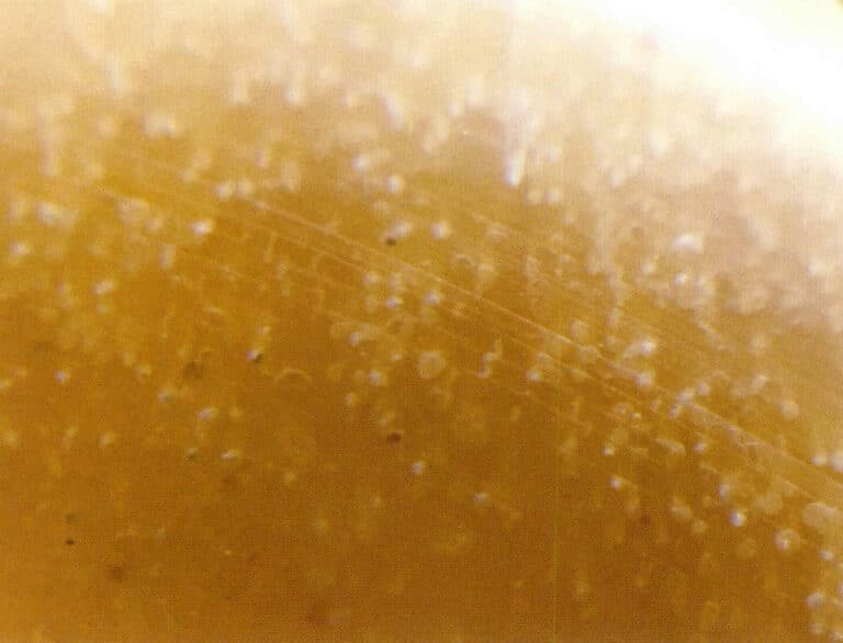 Figure 7-2-30 The surface of the rhino horn bracelet shows "Fish Egg" ( 20 x ) (Two)