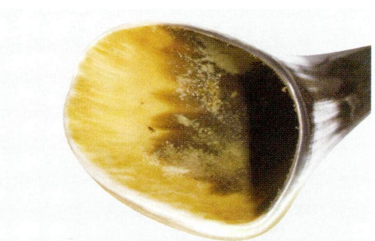 Figure 7-2-37 Cross-section of Horn (1)