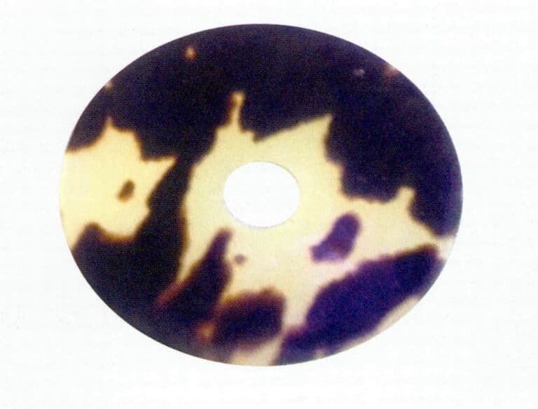 Figure 7-3-6 Tortoiseshell Tortoise Shell Products (II)