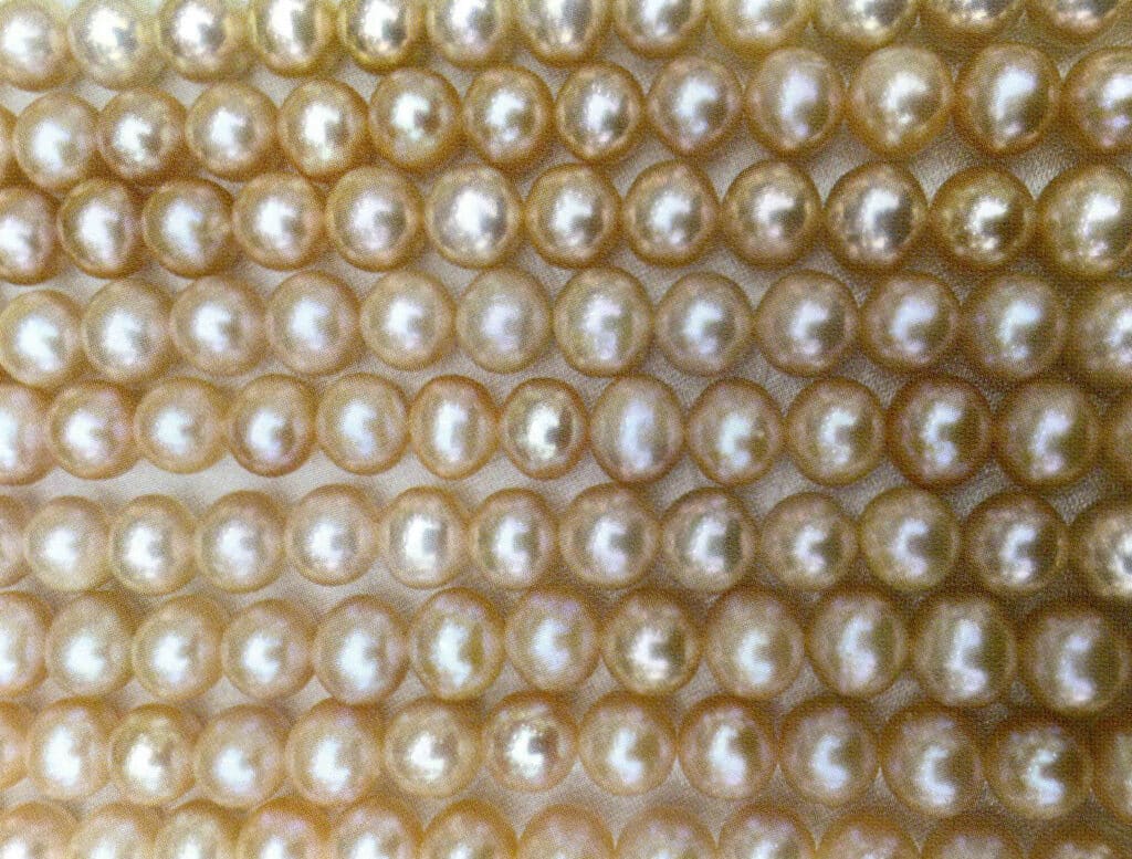 Figure 1-2-2 Pearl Luster