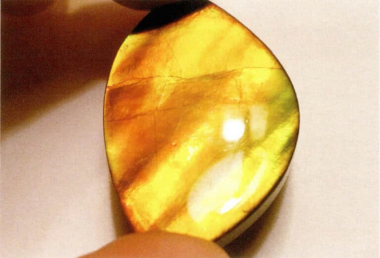 Figure 7-4-12 ammonite products (2)