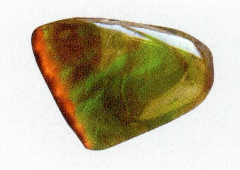 Figure 7-4-14 Patchwork ammonite Stone