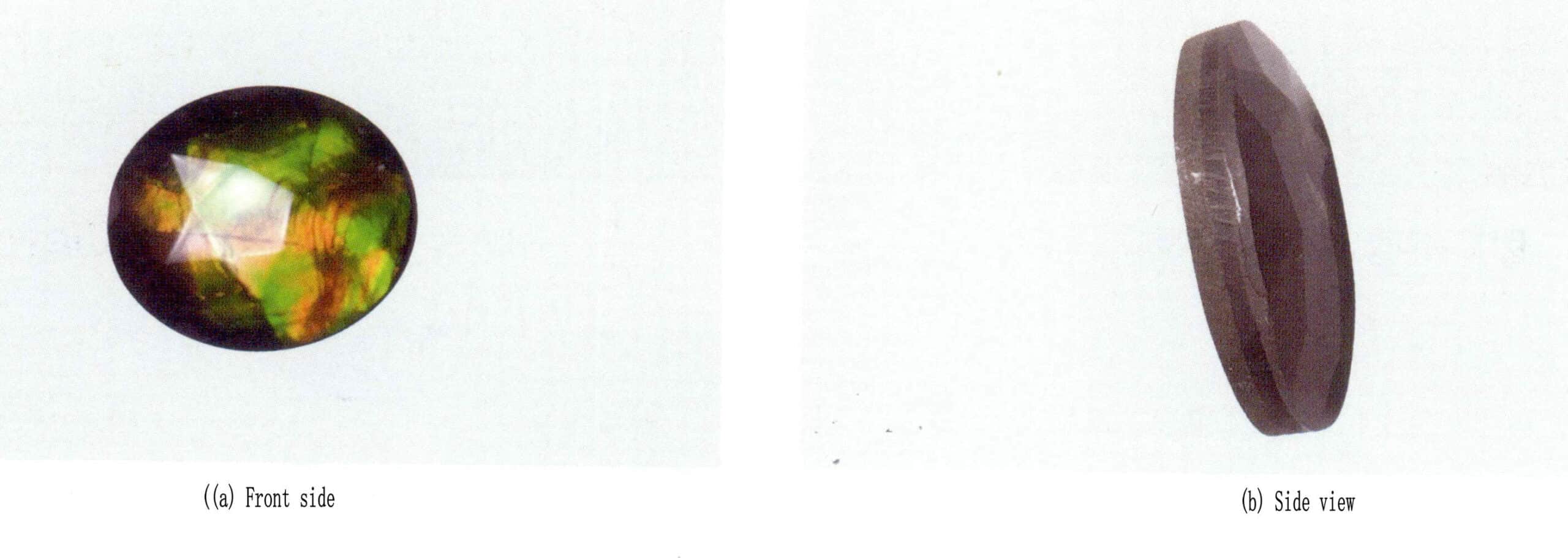 Figure 7-4-15 - Patchwork color-banded ammonite (trilithon) (b) Side