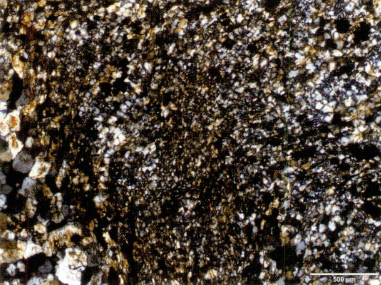 Figure 7-6-12 Quartz particles in phyllotubular cells of Petrified wood (5x)