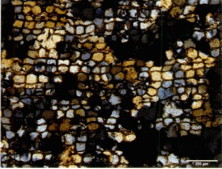 Figure 7-6-14 Quartz particles in flat and straight tube cells of silica wood (10x)