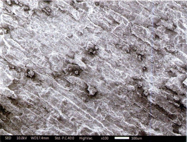 Figure 7-6-15 Microstructure SEM of different oriented sections of Petrified wood )(-)