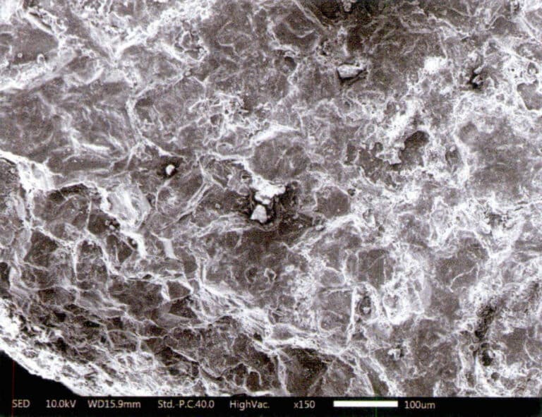 Figure 7-6-16 Microstructure SEM of different oriented sections of Petrified wood )(II)