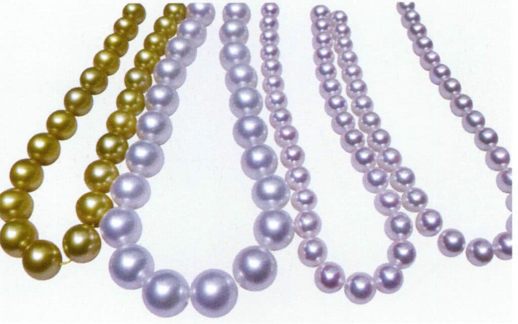 Figure 1-2-6 Main colors of seawater cultured pearls (3)