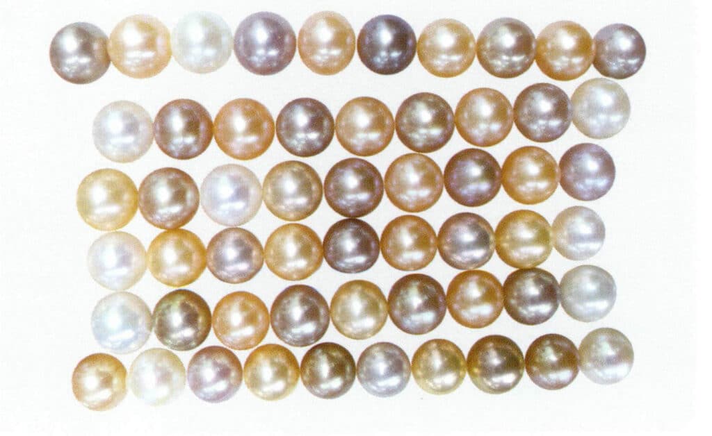 Figure 1-2-7 Main colors of freshwater cultured pearls (1)