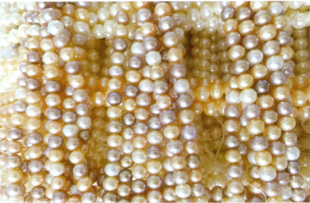Figure 1-2-9 Main colors of freshwater cultured pearls (3)