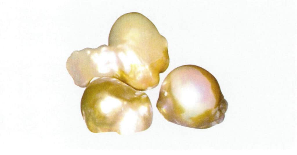 Figure 1-2-11 Freshwater cultured pearls with surface coloration (partially uncovered)