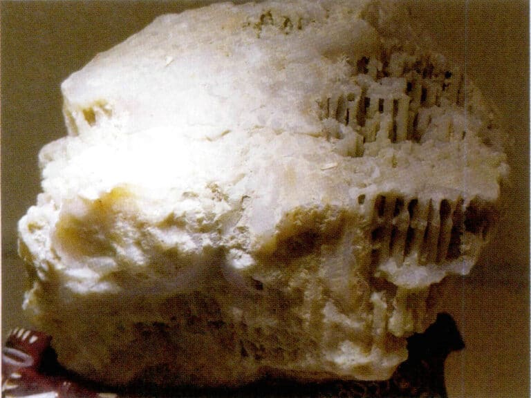 Figure 7-7-1 Coral Jade Raw Stone (1)