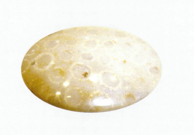Figure 7-7-4 Coral Jade Pendant (4)