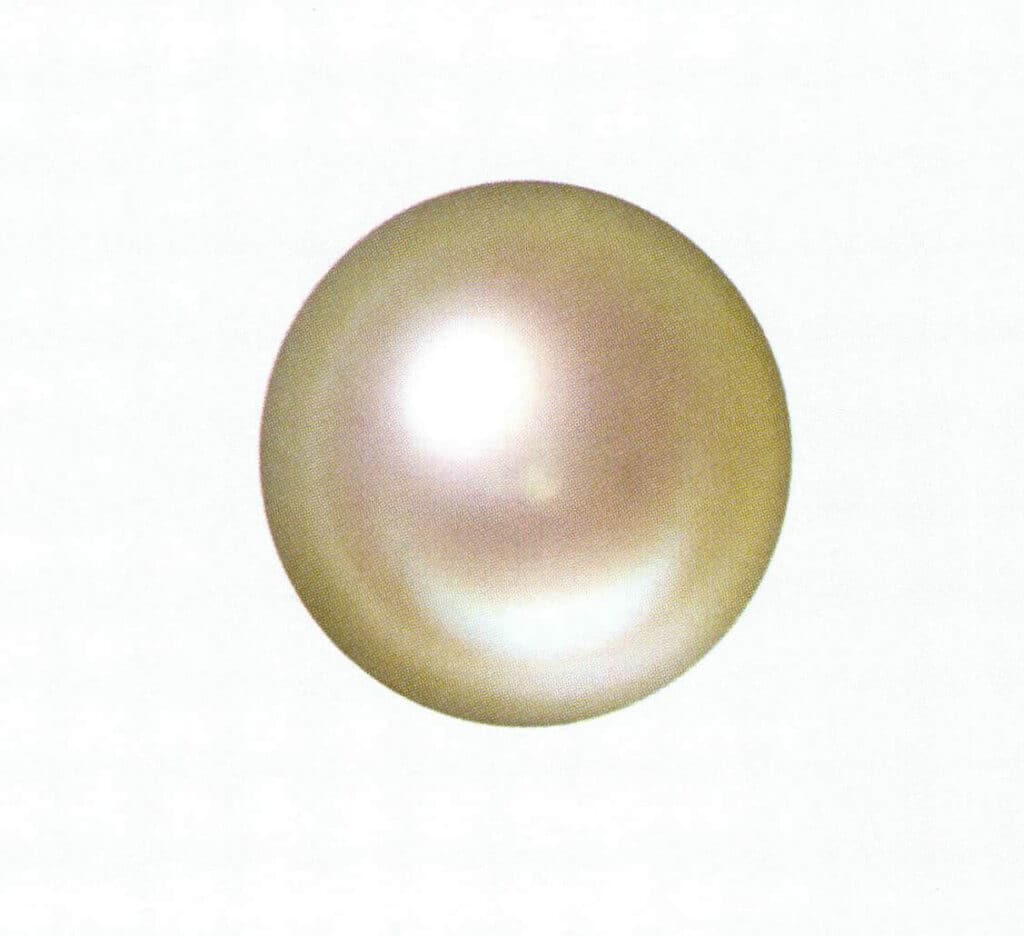 Figure 1-2-16 Accompanying colors of white seawater cultured pearls (1)