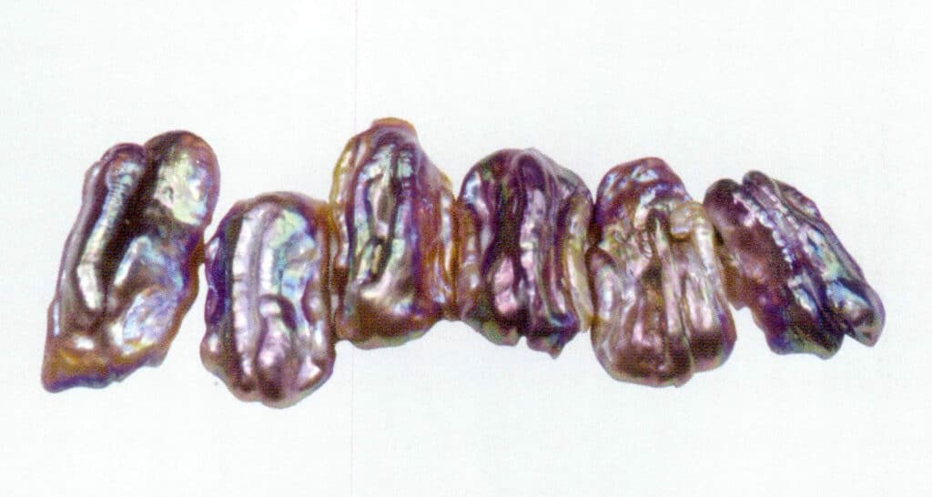 Figure 1-2-20 Luster of freshwater non-nucleated cultured pearls