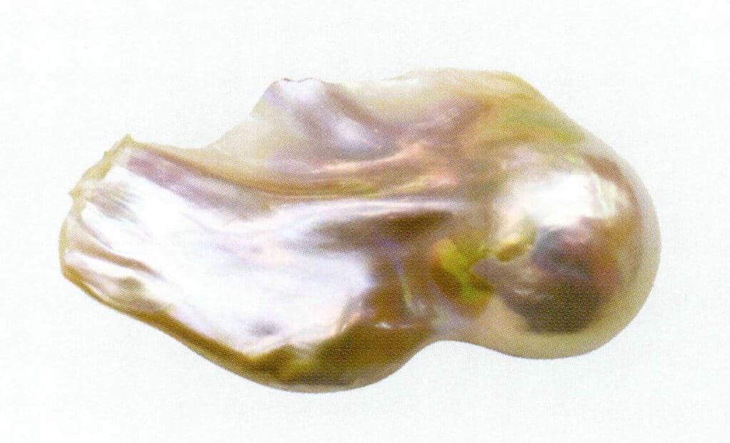Figure 1-2-21 Luster of freshwater cultured pearls with nucleus (1)
