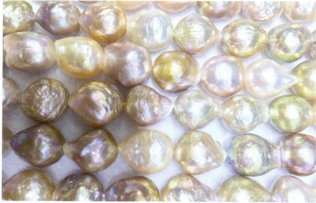 Figure 1-2-23 Luster of freshwater cultured pearls with nucleus (3)