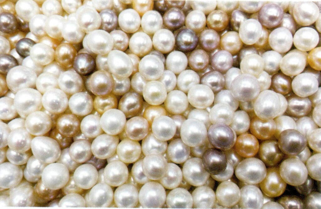 Figure 1-2-25 Near-round and oval freshwater non-nucleated cultured pearls