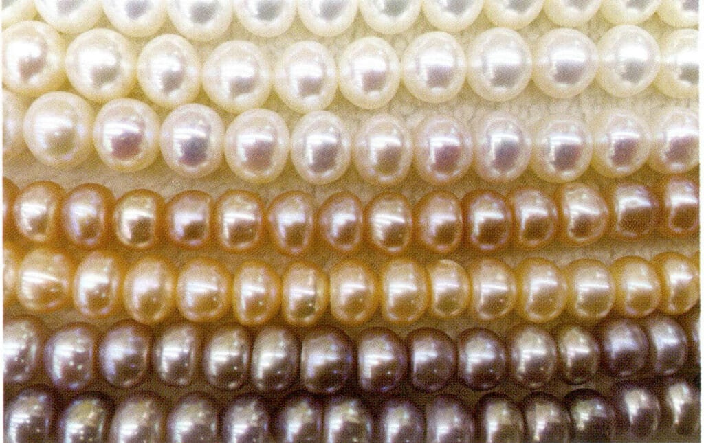 Figure 1-2-28 Steamed bun-shaped and abacus-shaped freshwater non-nucleated cultured pearls