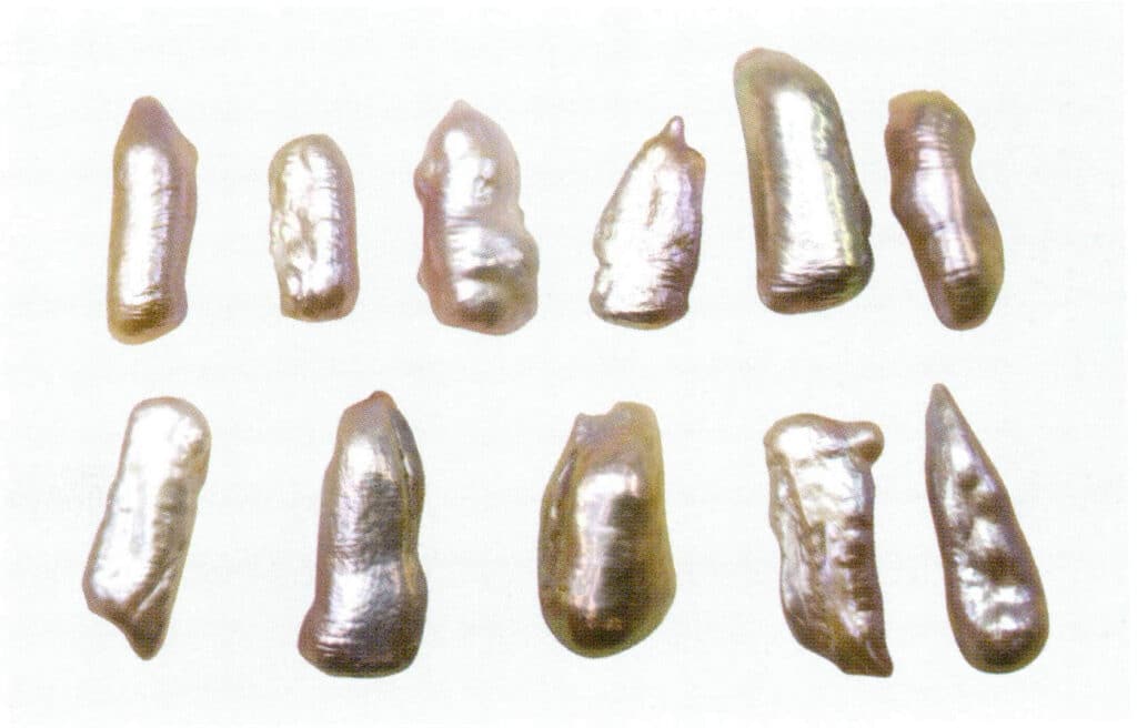 Figure 1-2-29 Elongated freshwater nucleated pearl