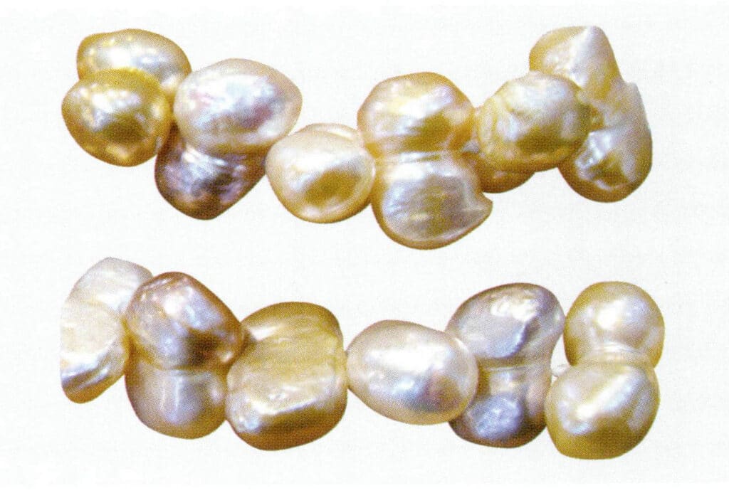 Figure 1-2-30 Connected freshwater nucleated pearl (1)