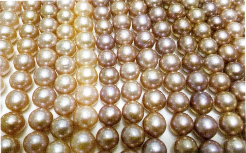 Figure 1-2-32 Round freshwater nucleated pearl