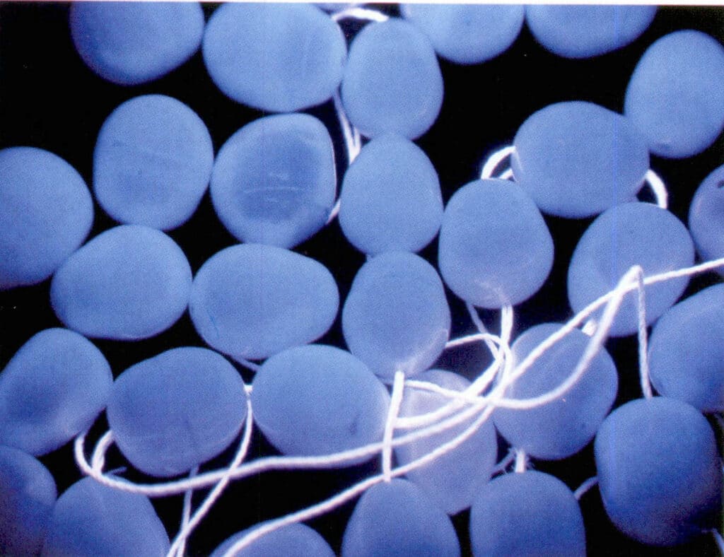 Figure 1-2-36 Freshwater cultured pearls whitened by light (under ultraviolet long wave)
