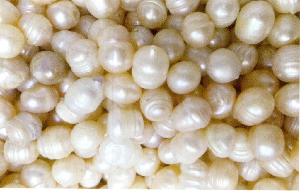 Figure 1-2-44 Ring Belt (I)