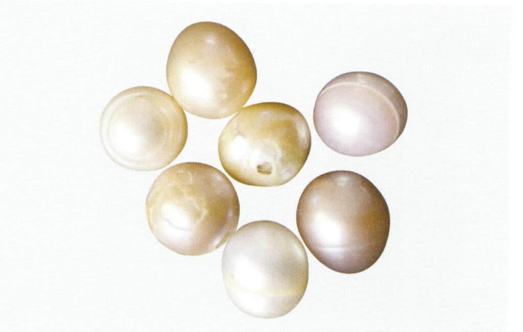 Figure 1-2-50 Damage to the pearl layer and the ring band