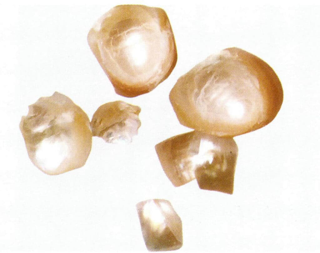 Figure 1-2-67 The concentric layered structure of the nacre layer (after breaking)