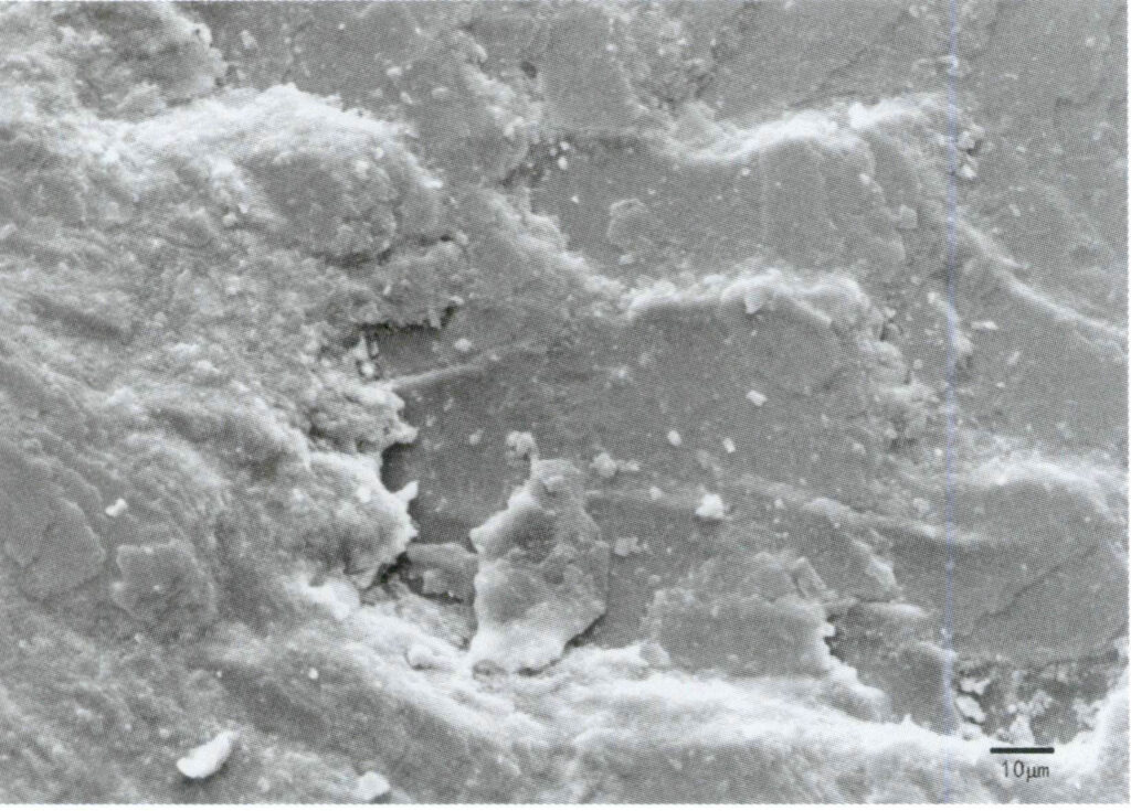 Figure 1-2-74 Layered structure of pearl layers (SEM)